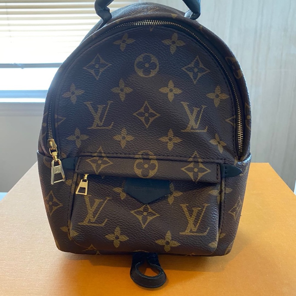 Louis Vuitton Palm Springs Mini Monogram Backpack